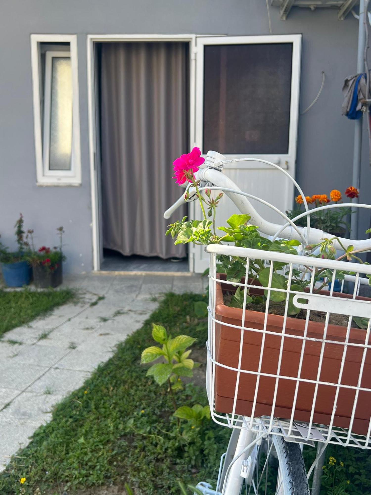 Happy Corner Guest House Shkoder Ngoại thất bức ảnh